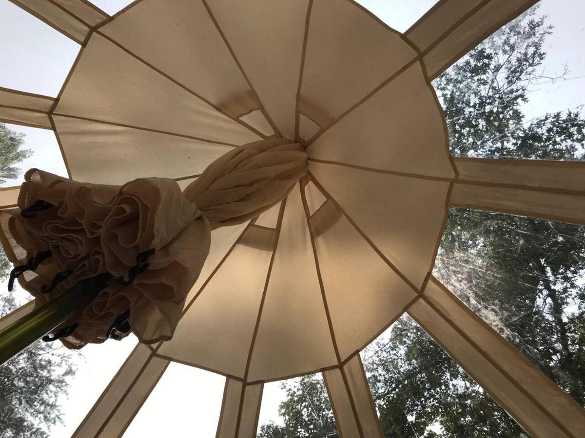 Bee Glamping Farm Victor